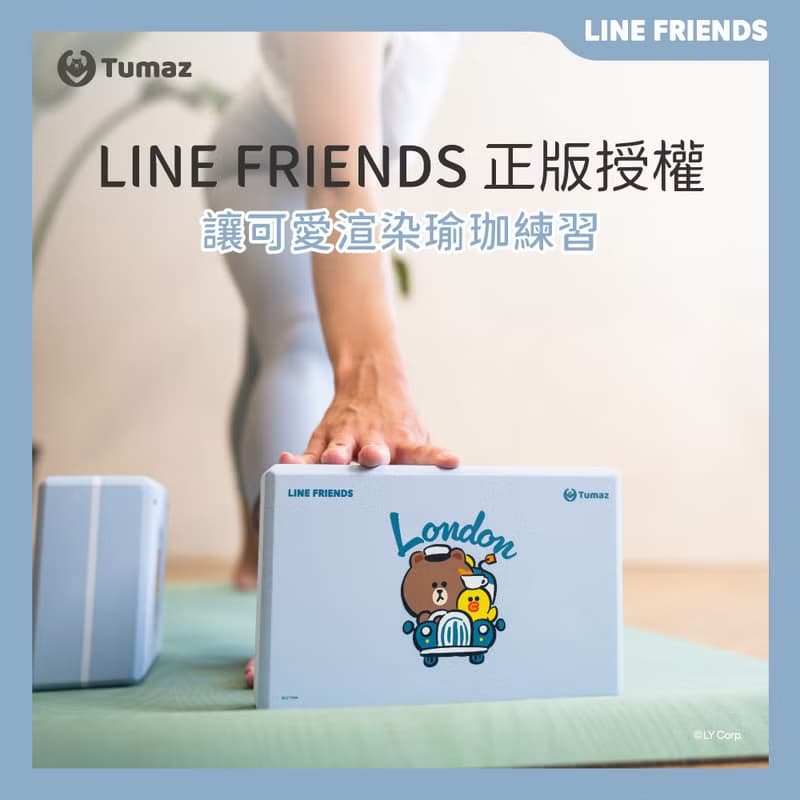 LINE FRIENDS正版授權 50D瑜珈磚 熊大 莎莉 兔兔