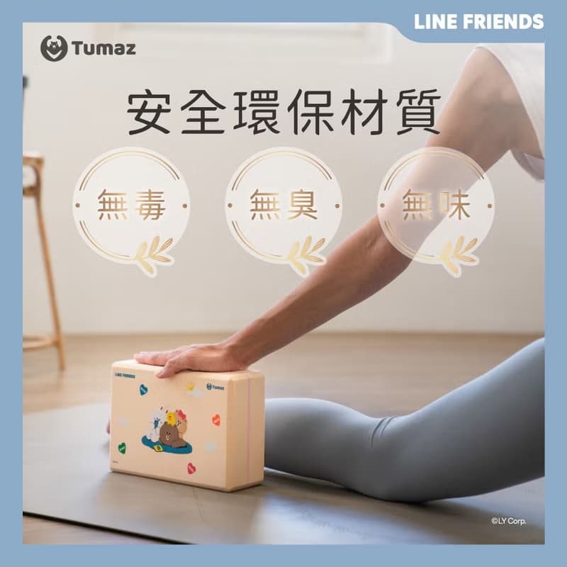 LINE FRIENDS正版授權 50D瑜珈磚 熊大 莎莉 兔兔