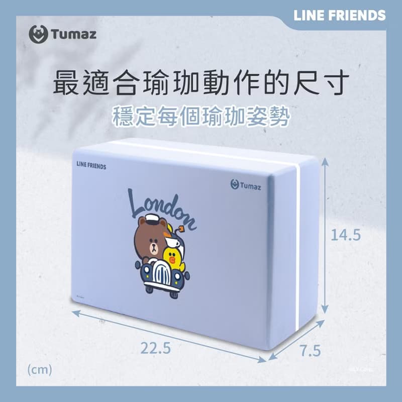 LINE FRIENDS正版授權 50D瑜珈磚 熊大 莎莉 兔兔