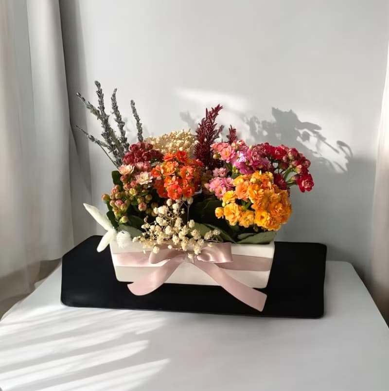 【超質感桌花】長壽花盆栽 開幕新居榮升喬遷送禮 客廳玄關擺設