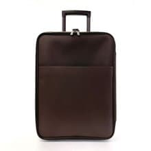 ルイヴィトン LOUIS VUITTON スーツケース・キャリーケース 旅行 トラベル M23313 ペガス 55 タイガ ブラウン/グリズリ