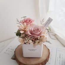 2朵永生花+蓪草乾燥花|微醺泡泡粉玫瑰|夢幻玫瑰花 生日禮物