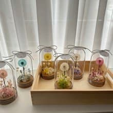永生花浦公英玻璃花盅   浦公英 蒲公英