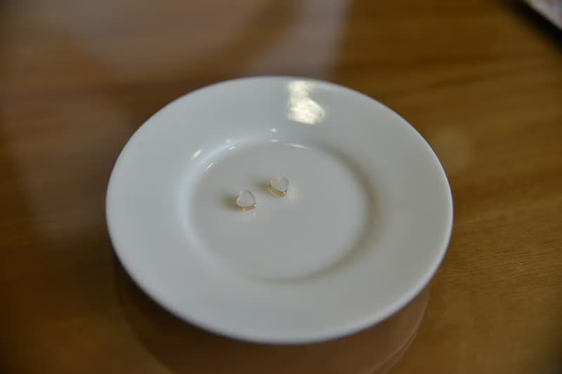 Sandra 純粹~ 聖誕花環 耳飾