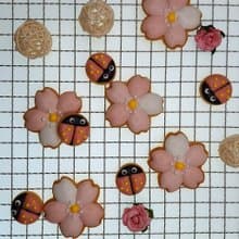 【溫蒂泡芙】造型糖霜餅乾-櫻花瓢蟲1+1款