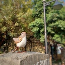 紡織藝術鳥_麻雀桑巴