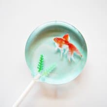 創意棒棒糖-金魚的家 (5支/盒)