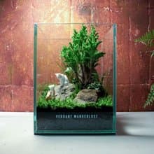 【生態缸－在樹下等你】微景觀 室內植栽 禮物 辦公室擺設