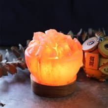 小玫瑰聚寶盆 I 原木底座 I 招財納福 提升貴人運 I 鹽燈禮
