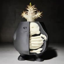 【半剖肥蛋】植物盆器 3d列印盆器 原創設計 塊根盆 多肉盆 膠盆