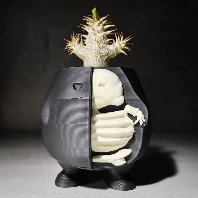 【半剖肥蛋】植物盆器 3d列印盆器 原創設計 塊根盆 多肉盆 膠盆