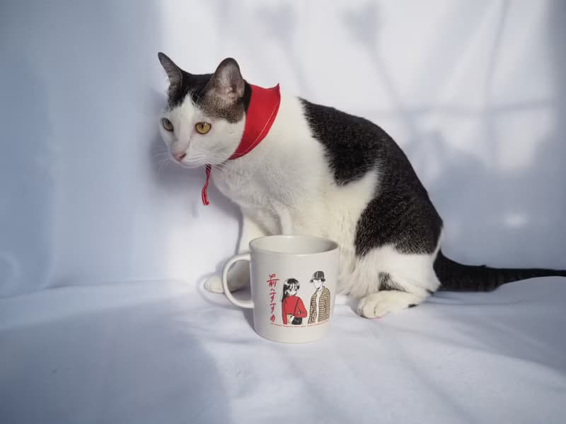 HotSummer : MAME MUG
