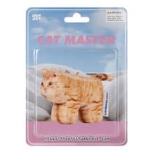 Cheese, Domestic Shorthair