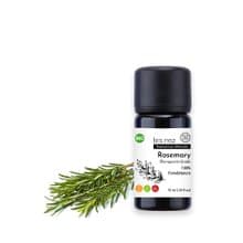 【Les nez 香鼻子】天然單方桉油醇迷迭香純精油 10ML