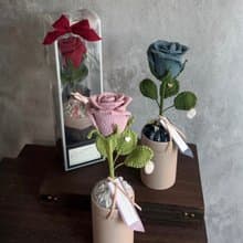mf 經典玫瑰盆花-情人節精選 Valentine's Potted Collection