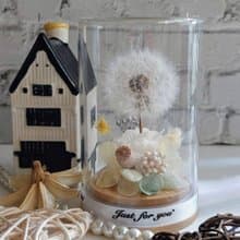 永生蒲公英玻璃罩.花盅 祝賀花禮 生日.情人節.母親節.畢業