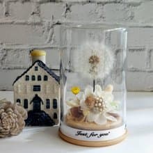永生蒲公英玻璃罩.花盅 祝賀花禮 生日.情人節.母親節.畢業