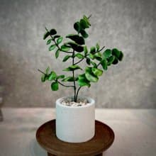 尤加利樹－手工革製小盆栽 送禮