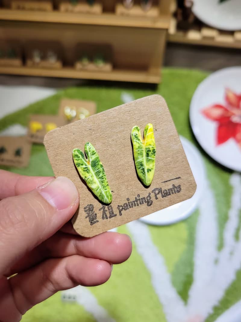 畫植 手作耳環(耳針作品現貨區)