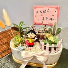櫻桃小丸子 心情愉快 日式 多肉組盆 多肉植物 生日禮 慶祝晉升