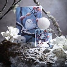 時序集系列香水 虹藏白華-小雪 淡香精EDP 100ML