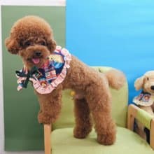 深藍色懷舊朱古力 x 啡橙間條 斗篷cut - 綁繩款