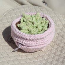 Succulents pot luggage bag organizer. Jewelry storage. Zip pouch.