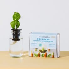【環保禮物】種植教學系列－重種蔬菜套裝－學習水耕重種蔬菜