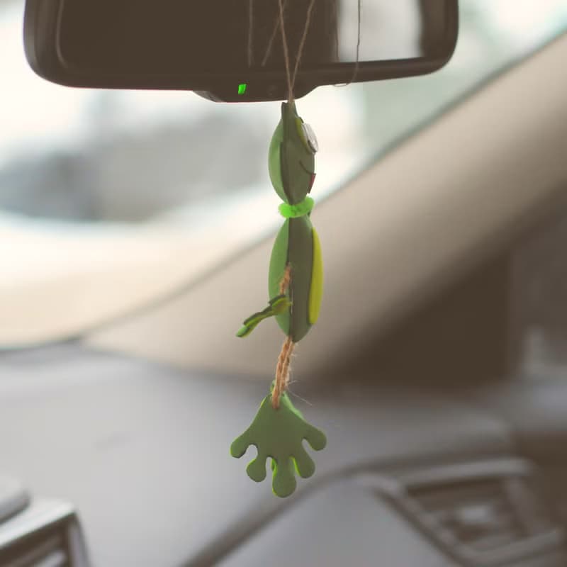 Hanging frog ornament for car mirror decor. Cute car accessory. Funny frog gift