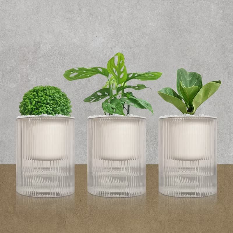 植栽 室內盆栽 無印風三盆 植物盆栽