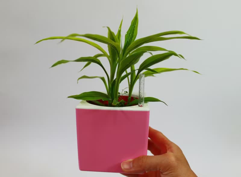 五行幸運盆器 懶人儲水器款(5色可選)