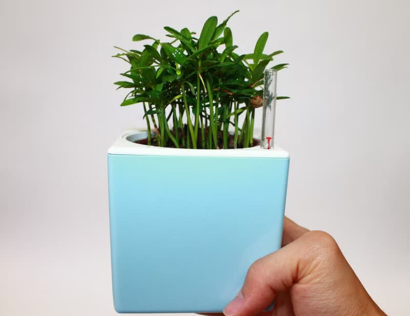 五行幸運盆器 懶人儲水器款(5色可選)