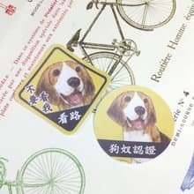 米格魯-防水車貼-狗奴認證-不要看我看路_防水貼紙