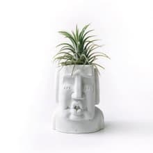 (現貨) 人氣熱賣 | 全紅小精靈 空氣鳳梨 搭配色色摩艾水泥盆器