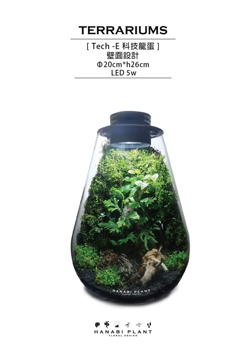 【訂製】蕨醒科技生態瓶-龍蛋款