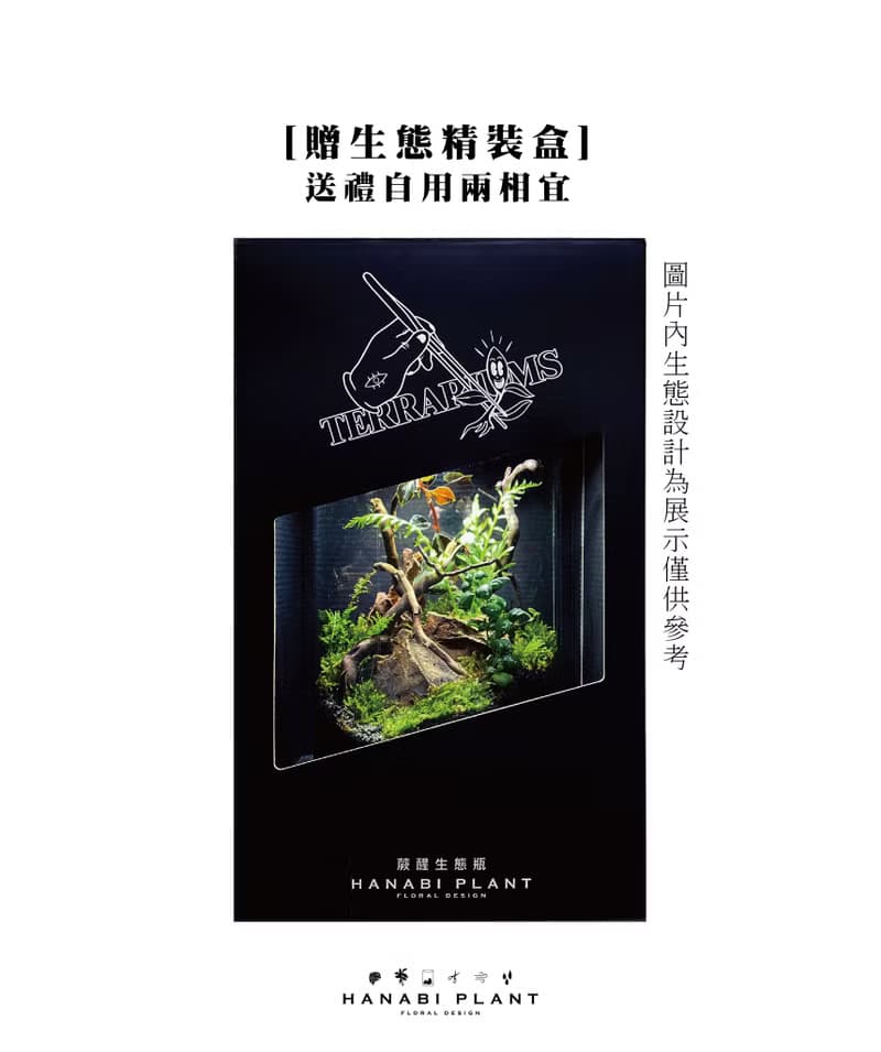 【訂製】蕨醒科技生態瓶-龍蛋款
