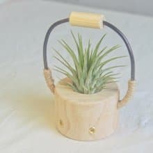 原創木作【小水桶】擴香植栽擺飾  贈一多肉植物或空氣鳳梨