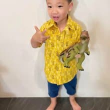 和風(短袖)襯衫-幾何1 手作 無毒 童裝 襯衫 日本 電車 火車