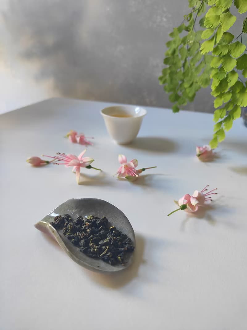 迎香烏龍茶組 台灣特色茶