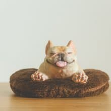 微笑法鬥  療癒擺飾