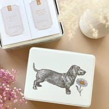 雛菊臘腸狗大方糖果茶葉禮盒【英國糖迷你包12包入 英國茶】