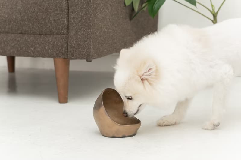 Golden Ceramic  ペットボウル　食器スタンド　小型犬　中型犬　ネコ　陶器