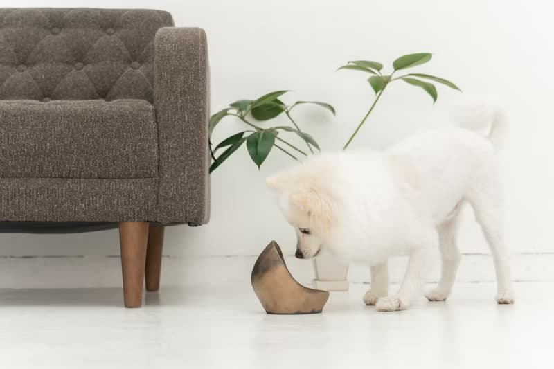 Golden Ceramic  ペットボウル　食器スタンド　小型犬　中型犬　ネコ　陶器