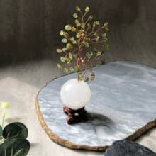 綠東陵水晶樹 初衷之心【能量水晶守護者】