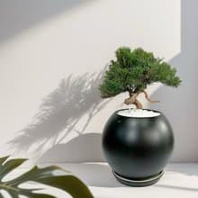 【專人雕塑】真柏 盆栽 送禮開幕新居喬遷升官送禮自用擺設