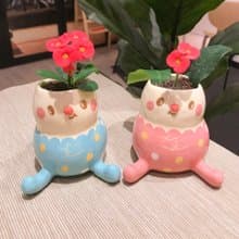 看對眼倆小盆栽