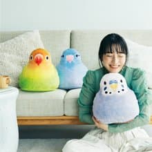 【YOU+MORE! x 小鳥部】軟Q可愛鸚鵡造型抱枕