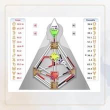 人類圖電子報告-活出你的自我-一本為你量身訂作個人使用說明書