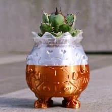 【肥蛋國王】植物盆器 3d列印盆器 原創設計 塊根盆 多肉盆 膠盆