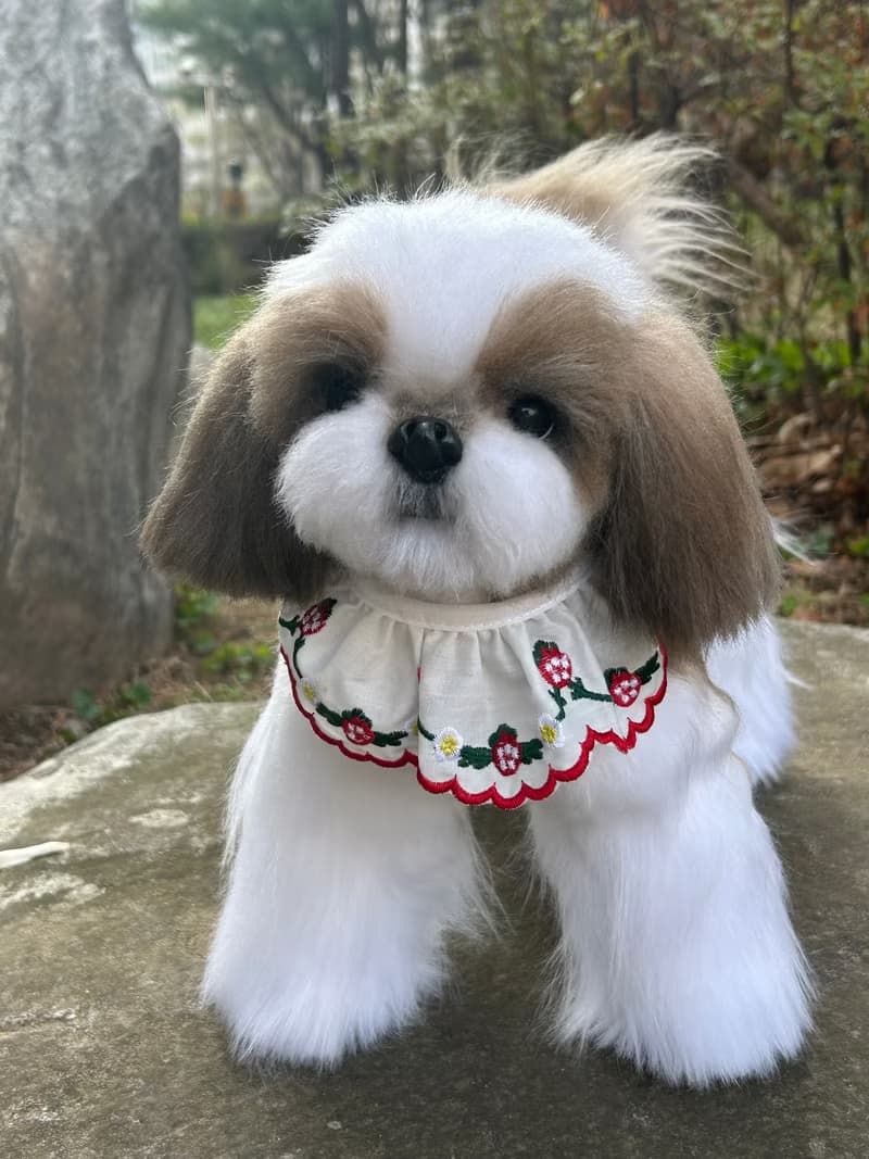 獅子狗 逼真的毛絨玩具 擴香石 貓 擴香 送禮 貓 送禮